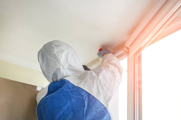 Reliable Lakeport, TX Mold Removal Services Solutions